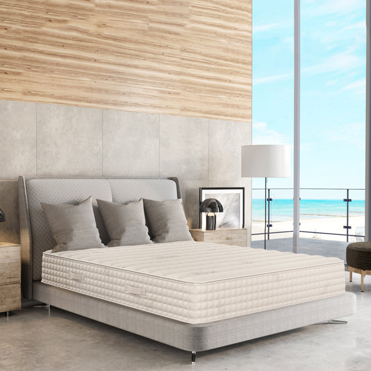 Plushbeds 12'' Firm Latex Mattress Wayfair